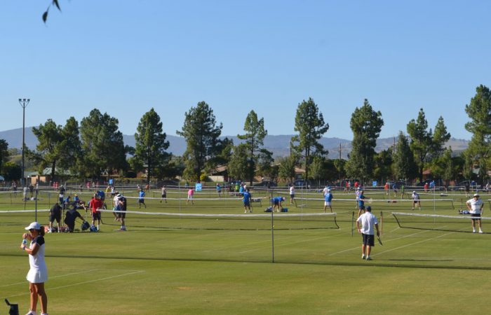 grass-courts-tennis-tip