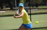 Daria Gavrilova trains on grass in Canberra ahead of Australia's Fed Cup tie against Ukraine.