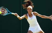 Ajla Tomljanovic at Wimbledon (Getty Images)